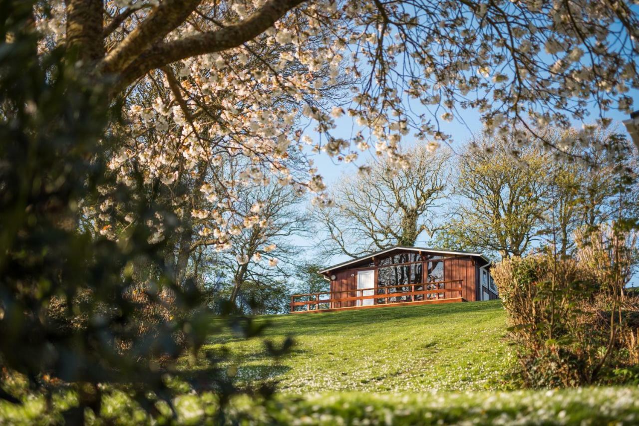 廷贝尔山自助式雪松木小屋度假屋 布罗德港 外观 照片